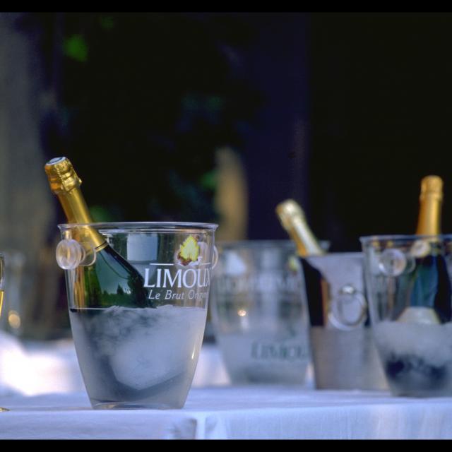 Ot Limouxin Website (25)