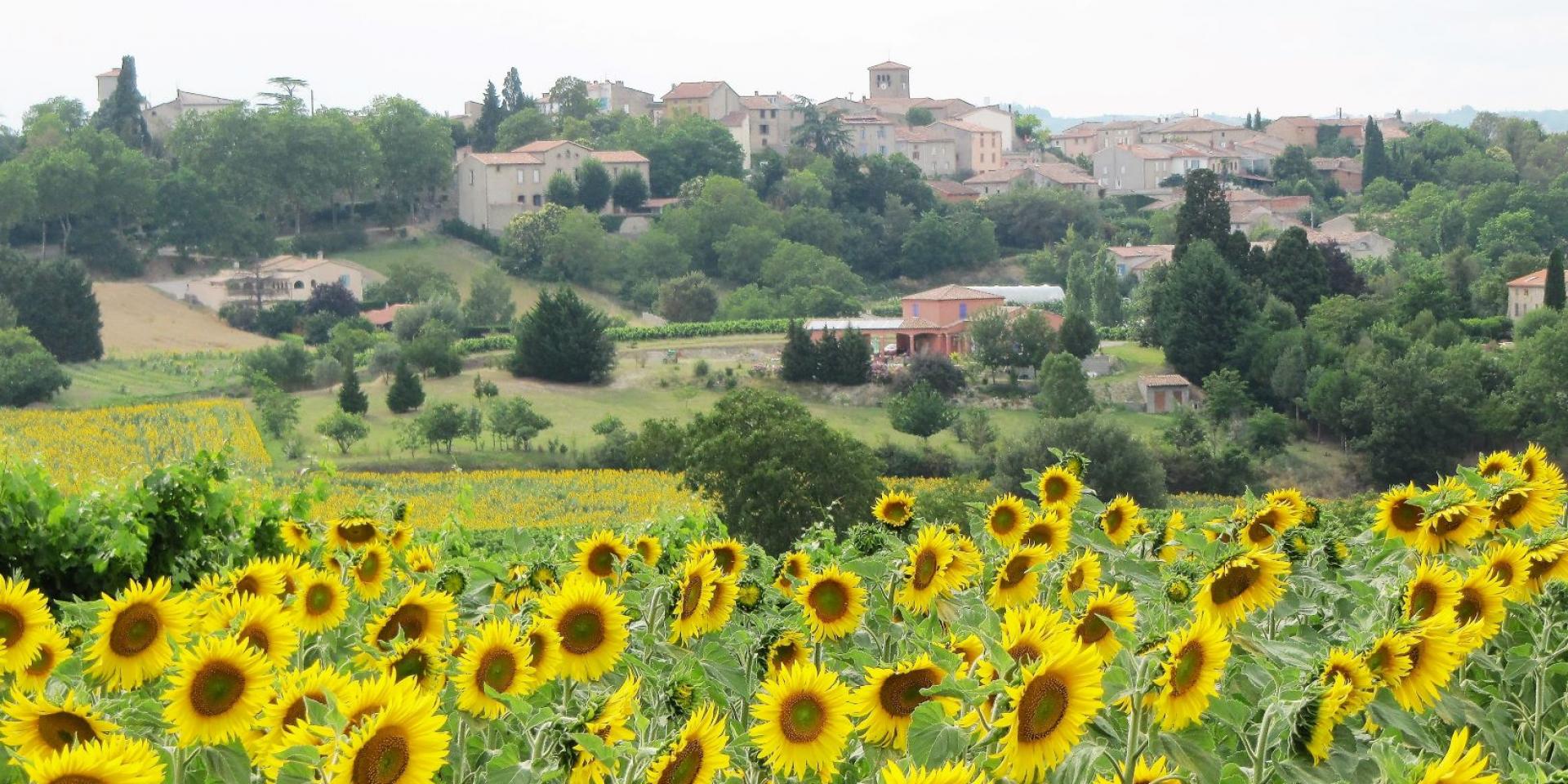 BellegardeduRazès Limouxin Tourisme Site Officiel de l’Office de